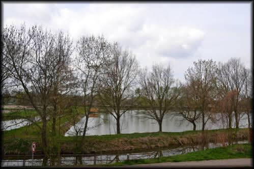 Penzion U Kohoutka Pardubice Dış mekan fotoğraf